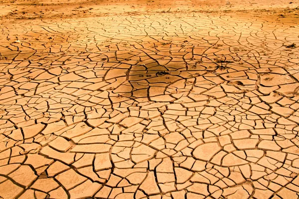 Drought soil in dry river ,hot summer — Stock Photo, Image