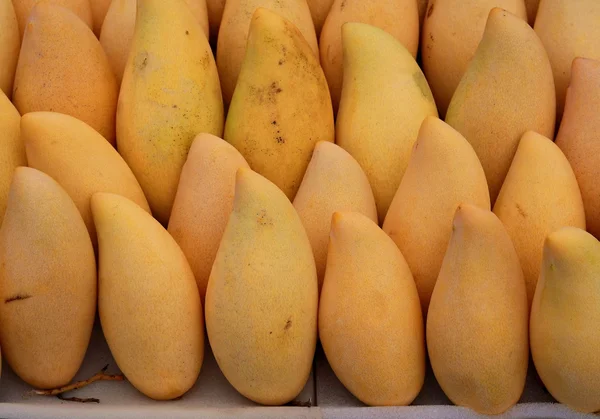 Dojrzałe mango, Tajlandia rynku — Zdjęcie stockowe