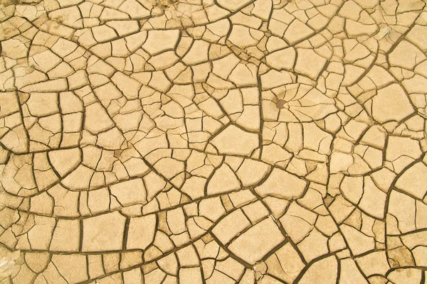 Solo rachado no deserto — Fotografia de Stock