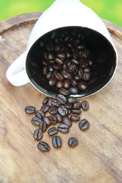 Kávová zrna spadnout z poháru — Stock fotografie