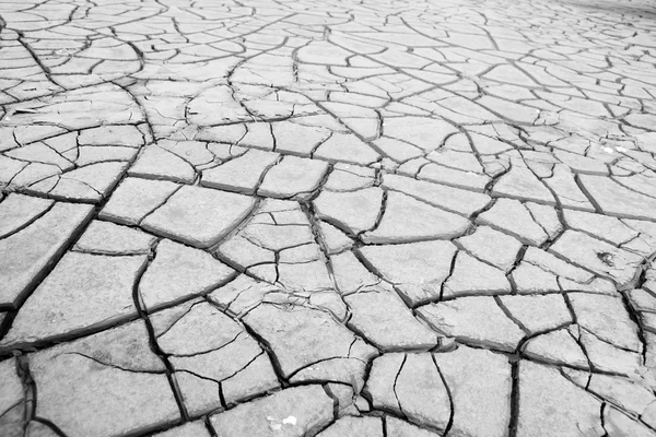 Cracked soil in river , texture — Stock Photo, Image