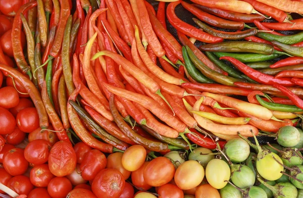 Chili ,tomato, aubergine background — Stock Photo, Image