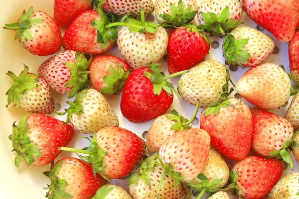 Strawberry — Stock Photo, Image