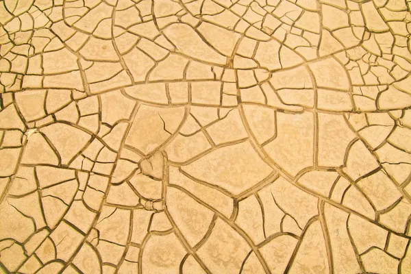 Cracked soil in the desert — Stock Photo, Image