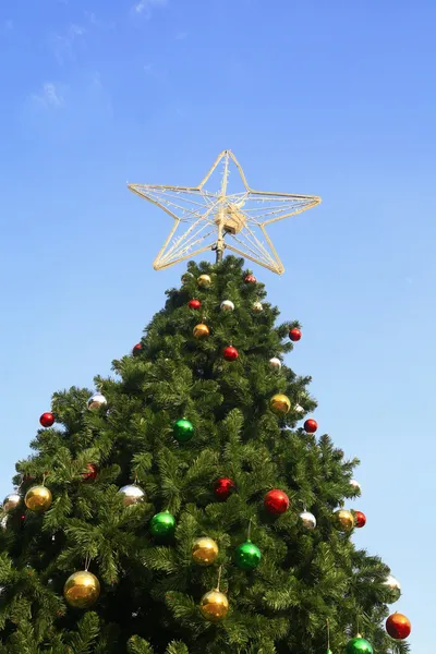 Julgran med blå himmel — Stockfoto