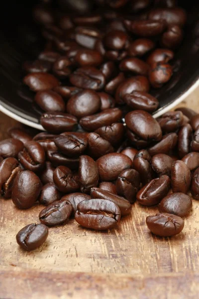 Coffee beans — Stock Photo, Image