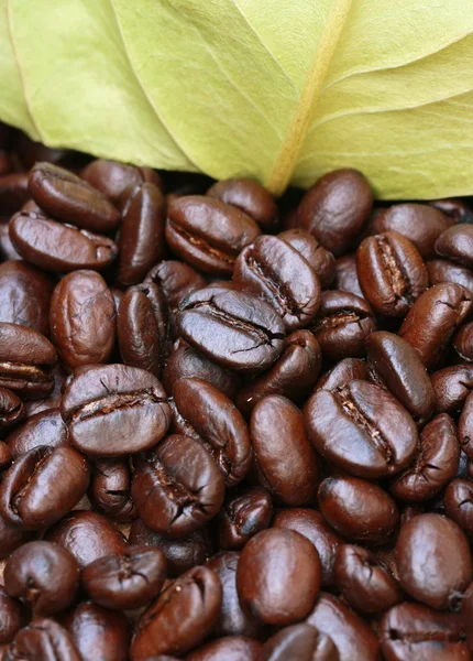Kawa onwooden tabeli i pozostawić suche pakiet — Zdjęcie stockowe