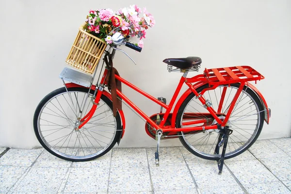 Flower on a bicycle — Stock Photo, Image