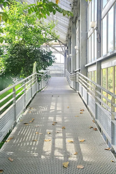 Metal walk way in conservatory — Stock Photo, Image