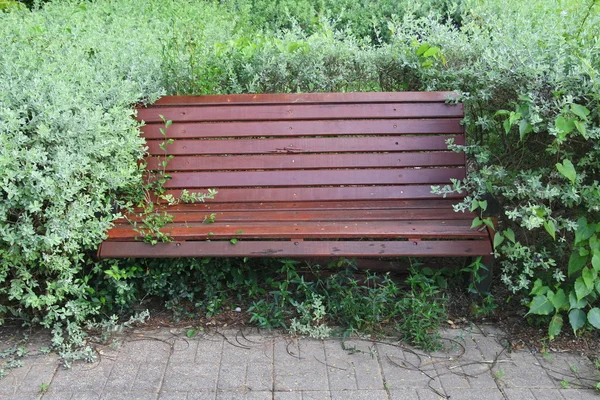 Banc en bois dans le parc — Photo