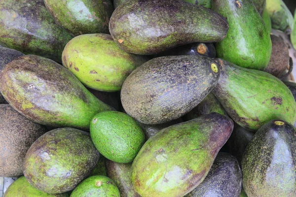 Avocado in market — Stock Photo, Image