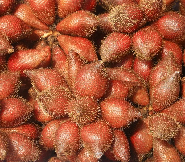 Zalacca tropical fruit — Stock Photo, Image