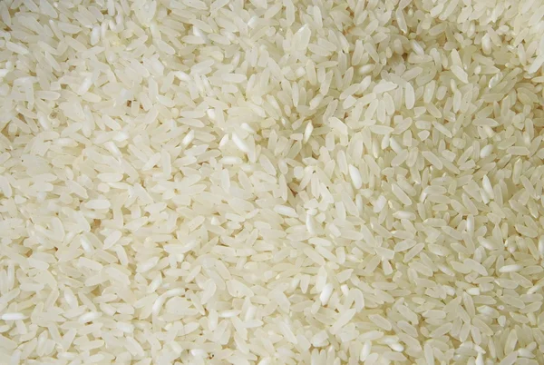 Arroz cru, Tailândia — Fotografia de Stock