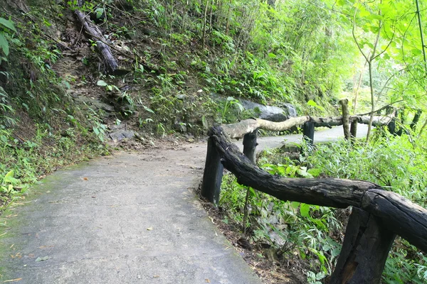 Passerella in montagna, Chiangmai, Thailandia — Foto Stock