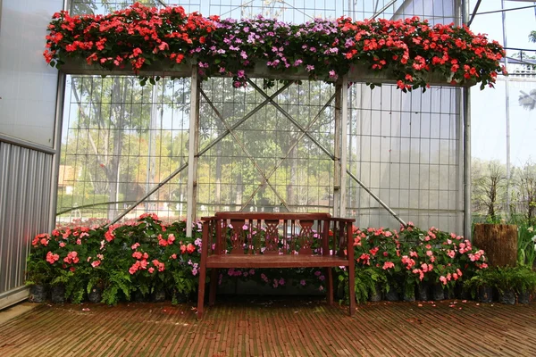 Wood chair in greenhouse