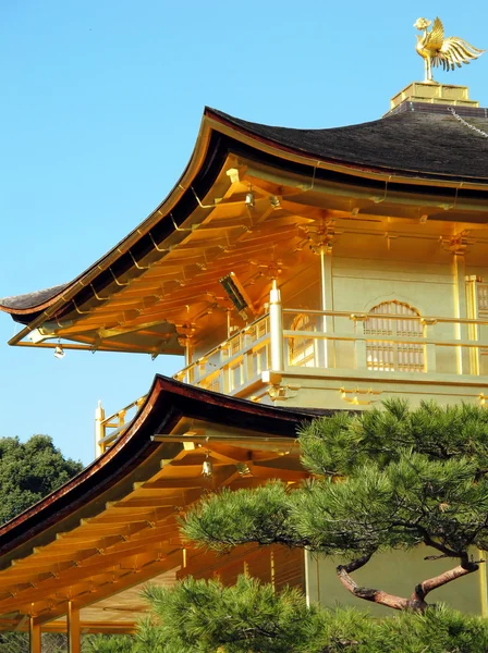 Kinkakuji chrám střechy a zlatý pták na vrcholu zvětšení, Japonsko — Stock fotografie