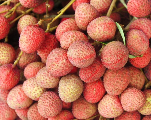 Lychee, Thai fruit — стоковое фото