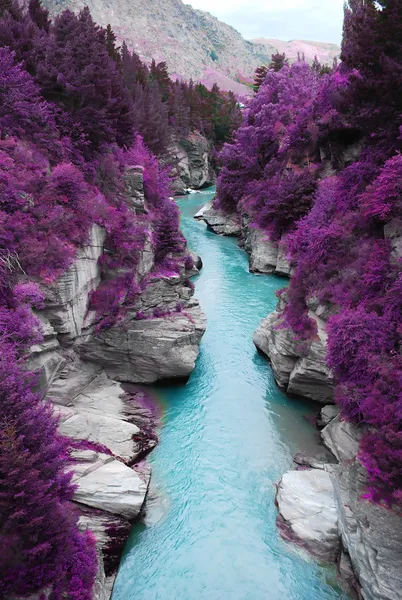 紫色森林和蓝流 免版税图库图片