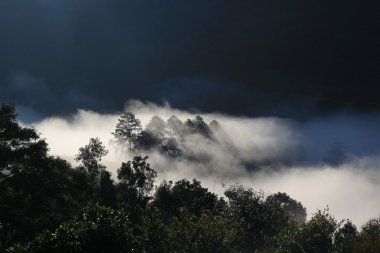 chiang Mai, Tayland (DOI luang, chiang dao dağ silsilesi,
