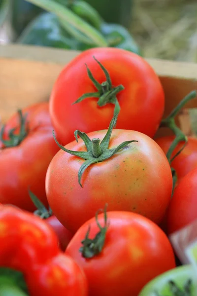 Bliska pomidorów w zasobniku — Zdjęcie stockowe