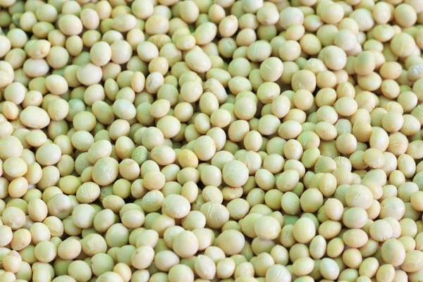 Close up soybean , seed background — Stock Photo, Image