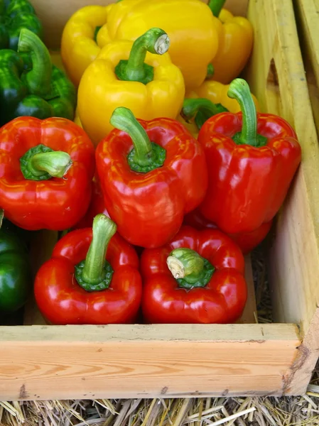 Nahaufnahme bunter Paprika auf dem Markt — Stockfoto