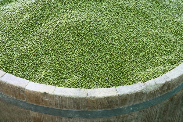 Green beans in wood tank — Stock Photo, Image