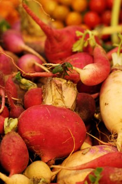 turp piyasa yukarıya kapatmak