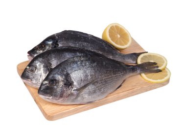 Dorado balığı