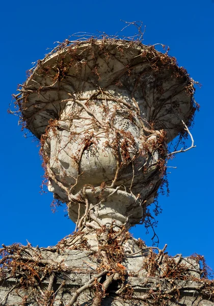 Old vase in the park