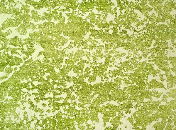 Dekoratif Sıva ve beyaz-yeşil