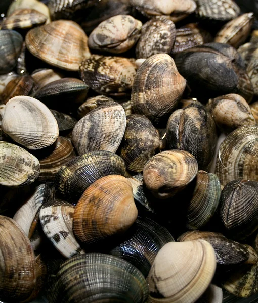 istiridye vongole