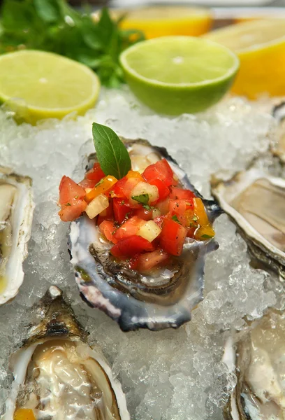 Oyster dressing med färska grönsaker — Stockfoto