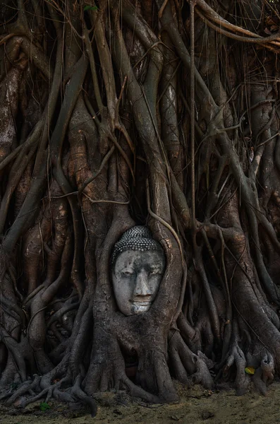 Faccia di Buddha — Foto Stock