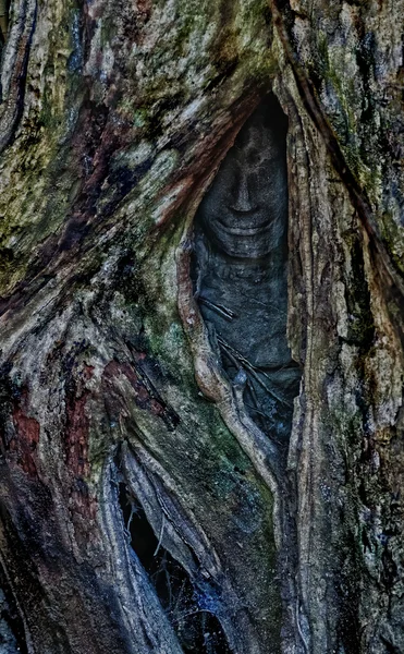 Sorriso di Buddha — Foto Stock