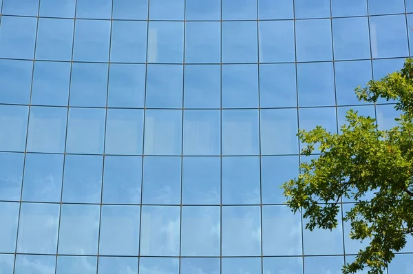 Szklana fasada budynku biurowego — Zdjęcie stockowe