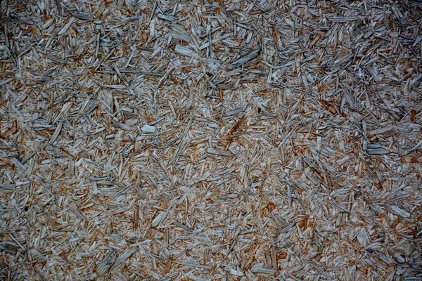 Abstrakte Holzoberfläche — Stockfoto