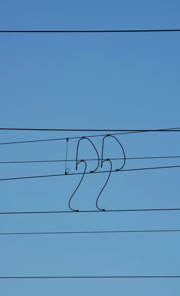 Cables de alimentación — Foto de Stock