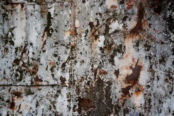 Grunge metal surface — Stock Photo, Image