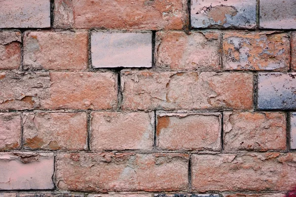 Alte Ziegelmauer — Stockfoto