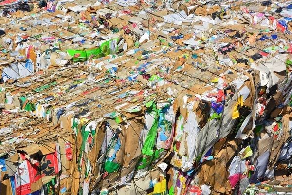 Compressed paper and cardboard for recycling — Stock Photo, Image