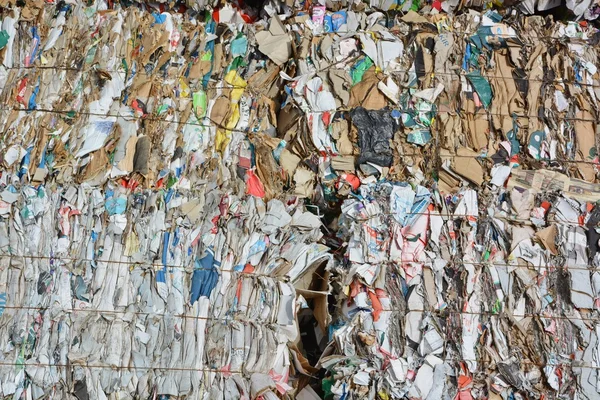 Papel e cartão compactados para reciclagem — Fotografia de Stock