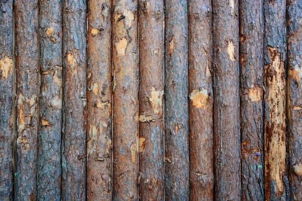 Tinta de descascamento na superfície de madeira grunge — Fotografia de Stock