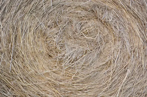 Hay bale as background — Stock Photo, Image