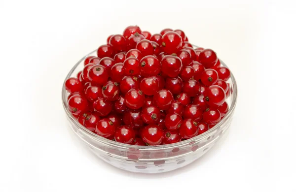 Frische rote Johannisbeeren in einer Glasschüssel — Stockfoto