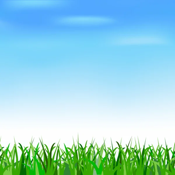 Mavi gökyüzü ve çim