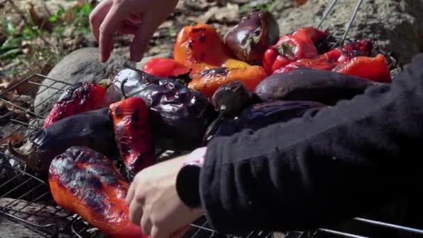 Grillowane Warzywa Przygotowanie Żywności Puszkach Zimowych — Wideo stockowe