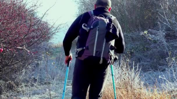 Passeggiata Escursionistica Sentiero Pieno Nebbia Autunno Con Bosco Ghiacciato Sullo — Video Stock