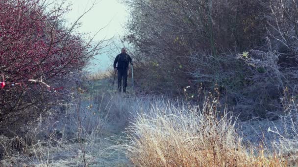 徒步旅行者走在一条满是雾的小径上 身后是冰冷的森林 — 图库视频影像