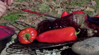 Terbiye edilmiş taze sebzeler ve sosisler açık havada mangal mangalında kızartılıyor..